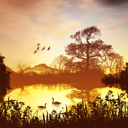 Flying birds and lake swans in the sunset sky Stock Photo