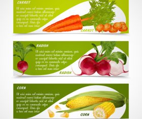 Fresh vegetable banners vectors material 1