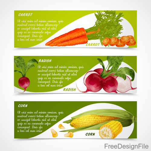 Fresh vegetable banners vectors material 1