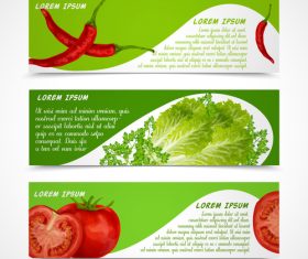 Fresh vegetable banners vectors material 2