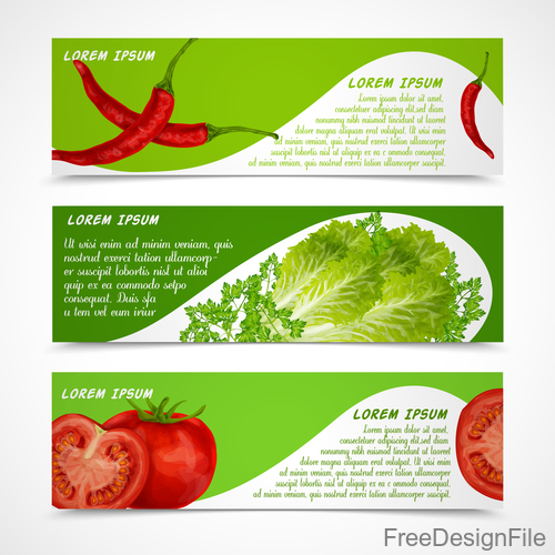 Fresh vegetable banners vectors material 2