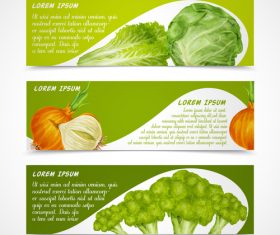 Fresh vegetable banners vectors material 3