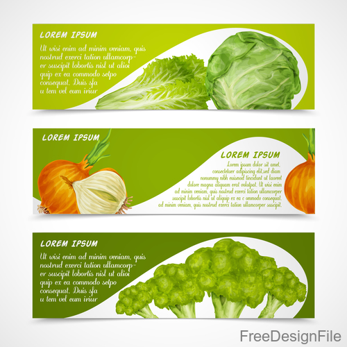 Fresh vegetable banners vectors material 3