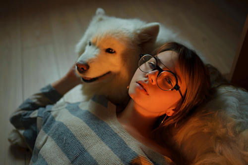 Girl and beloved pet dog Stock Photo