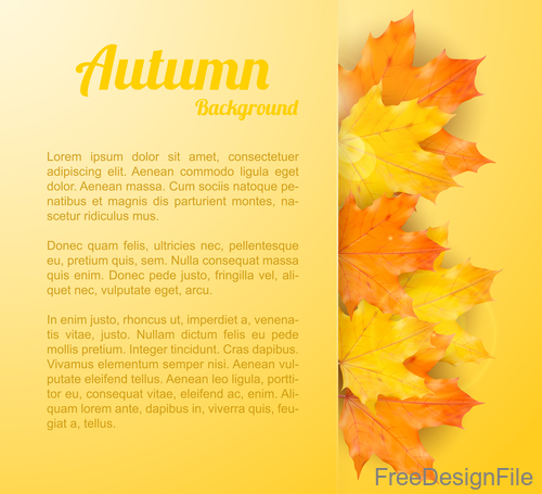 Golden autumn background with maple leaves vectors 01