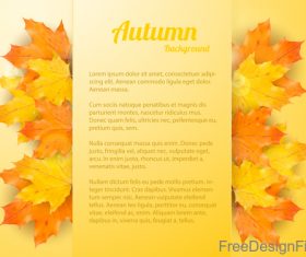 Golden autumn background with maple leaves vectors 02