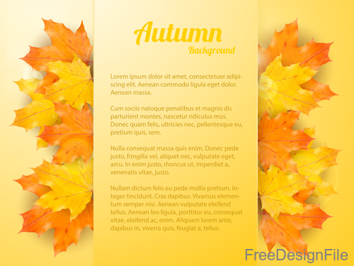 Golden autumn background with maple leaves vectors 02