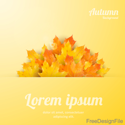 Golden autumn background with maple leaves vectors 03