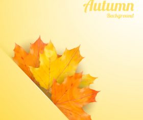 Golden autumn background with maple leaves vectors 04
