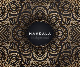 Golden mandala pattern decor background vector 01