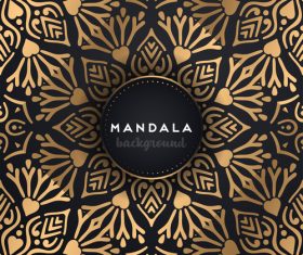 Golden mandala pattern decor background vector 02