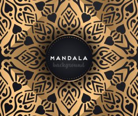 Golden mandala pattern decor background vector 04