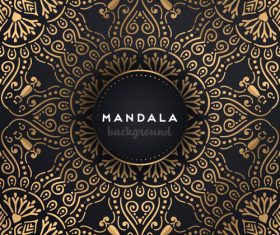 Golden mandala pattern decor background vector 05