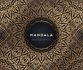 Golden mandala pattern decor background vector 06