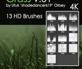 Grass HD Photoshop Brushes