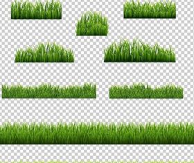 Green grass borders vector illustration 01