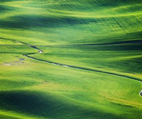Green prairie natural scenery Stock Photo 01
