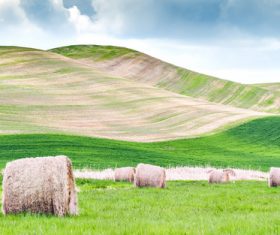 Green prairie natural scenery Stock Photo 03