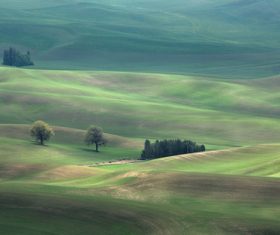 Green prairie natural scenery Stock Photo 04