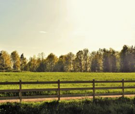 Green prairie natural scenery Stock Photo 05