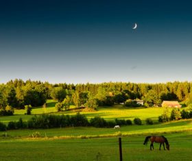 Green prairie natural scenery Stock Photo 06