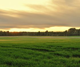 Green prairie natural scenery Stock Photo 07