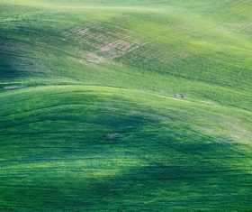 Green prairie natural scenery Stock Photo 08