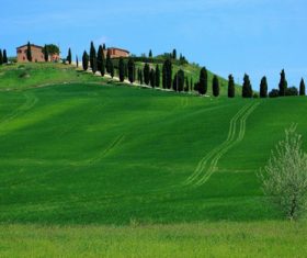 Green prairie natural scenery Stock Photo 09