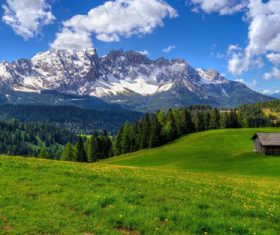 Green prairie natural scenery Stock Photo 11