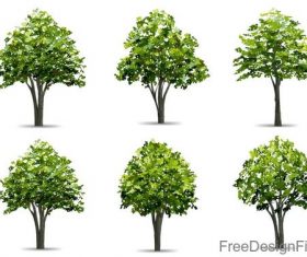 Green tree illustration vector set 01