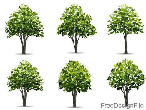 Green tree illustration vector set 01