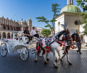 Krakow city landscape Poland Stock Photo 01