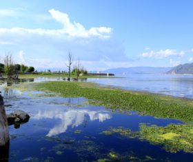 Lake view in the park Stock Photo