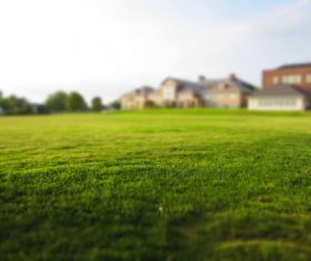 Large lawn in front of the house Stock Photo