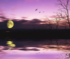 Moon and flying birds Stock Photo
