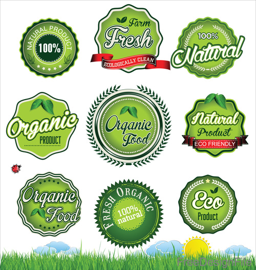 Natural eco green label vector collection