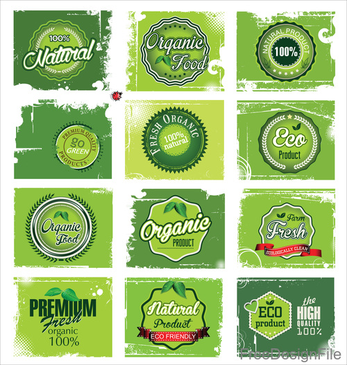 Natural green label collection vector