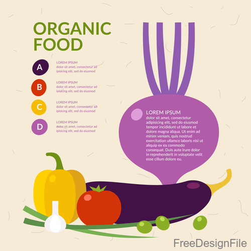Organic food infographic vectors 02