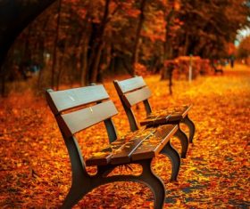 Outdoor benches Stock Photo 02