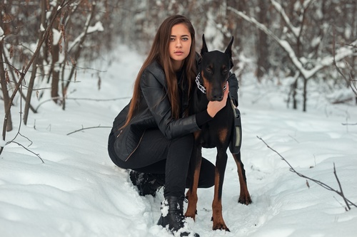 Outdoors women and great dane Stock Photo