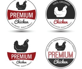 Premium chicken badge design vector