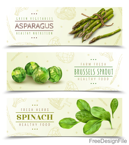 Realistic asparagus vegetables banners vector