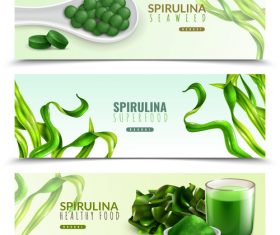 Realistic spirulina banners vector