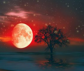 Red moon and tree Stock Photo