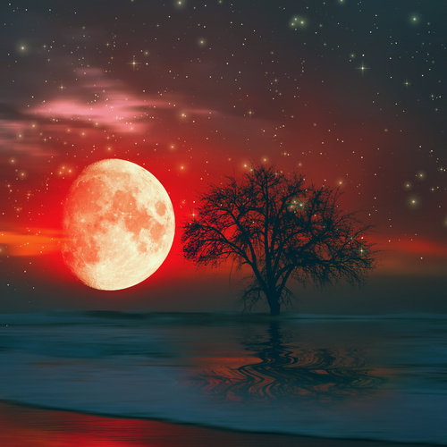 Red moon and tree Stock Photo