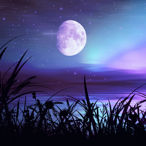 Sky stars and bright round moon Stock Photo free download