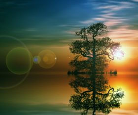 Sunrise and trees reflecting in the water Stock Photo