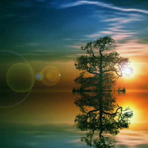 Sunrise and trees reflecting in the water Stock Photo