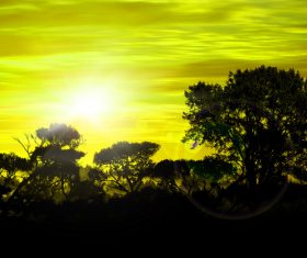 Sunrise sun glare Stock Photo