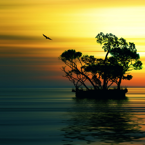 Sunset afterglow flying birds and small islands in the sea Stock Photo